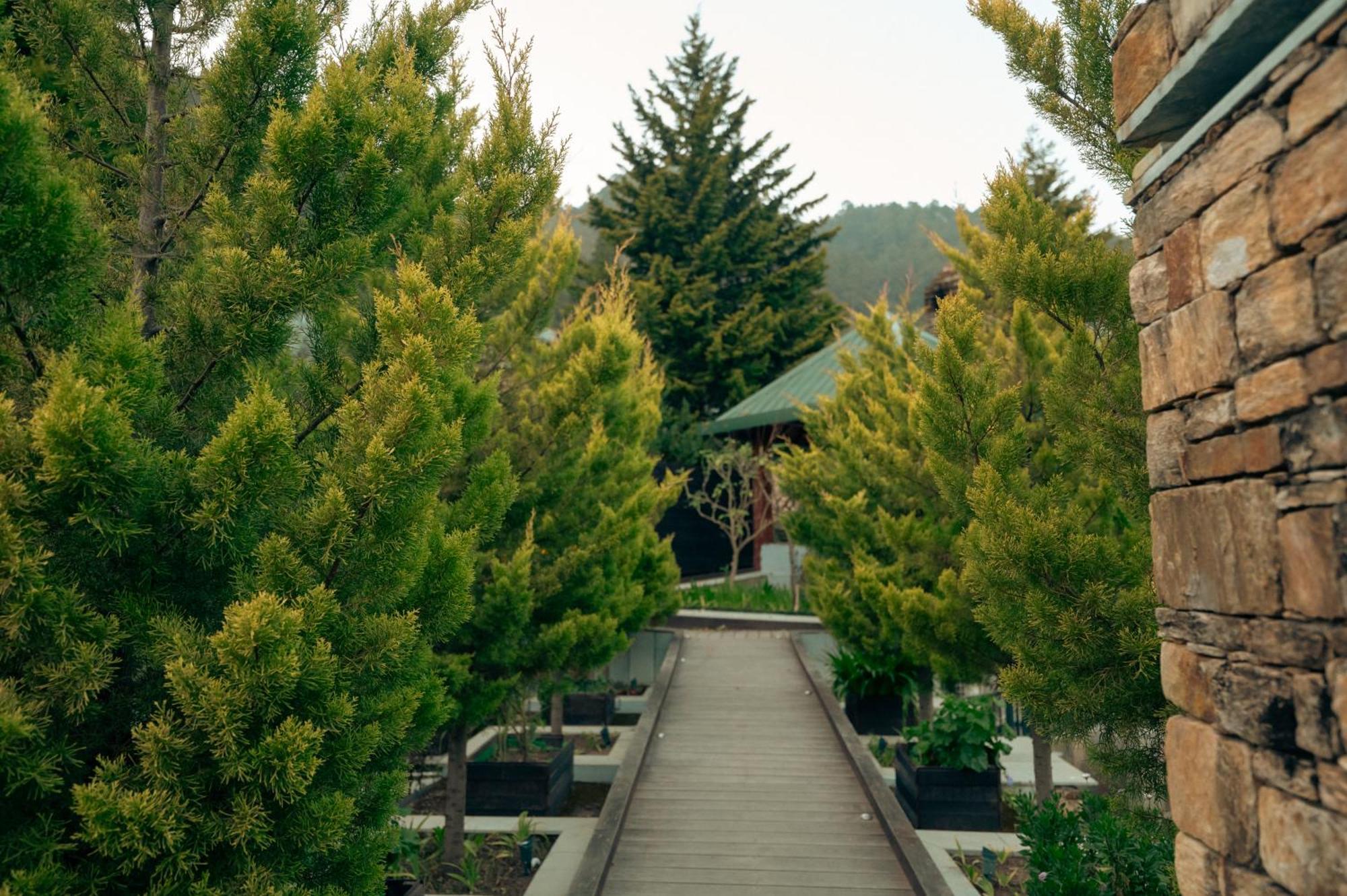 Brij Atmanya Bhowali, Nainital, A Luxury Mountain Escape Luaran gambar